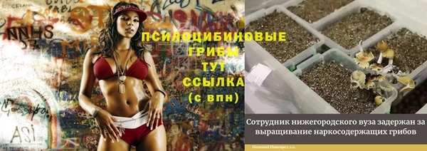 эйфоретик Володарск