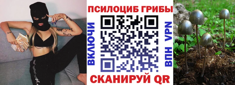 как найти наркотики Коломна гидра как зайти дарк нет наркотические препараты Галлюциногенные грибы мухоморы