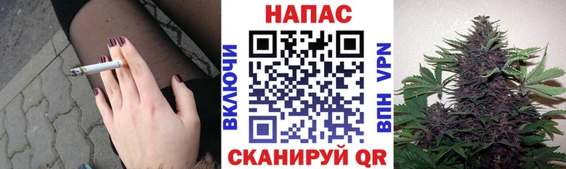 Конопля индика  Коломна 